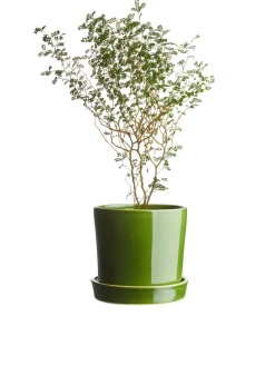 Kruka I Stengods 18 Cm